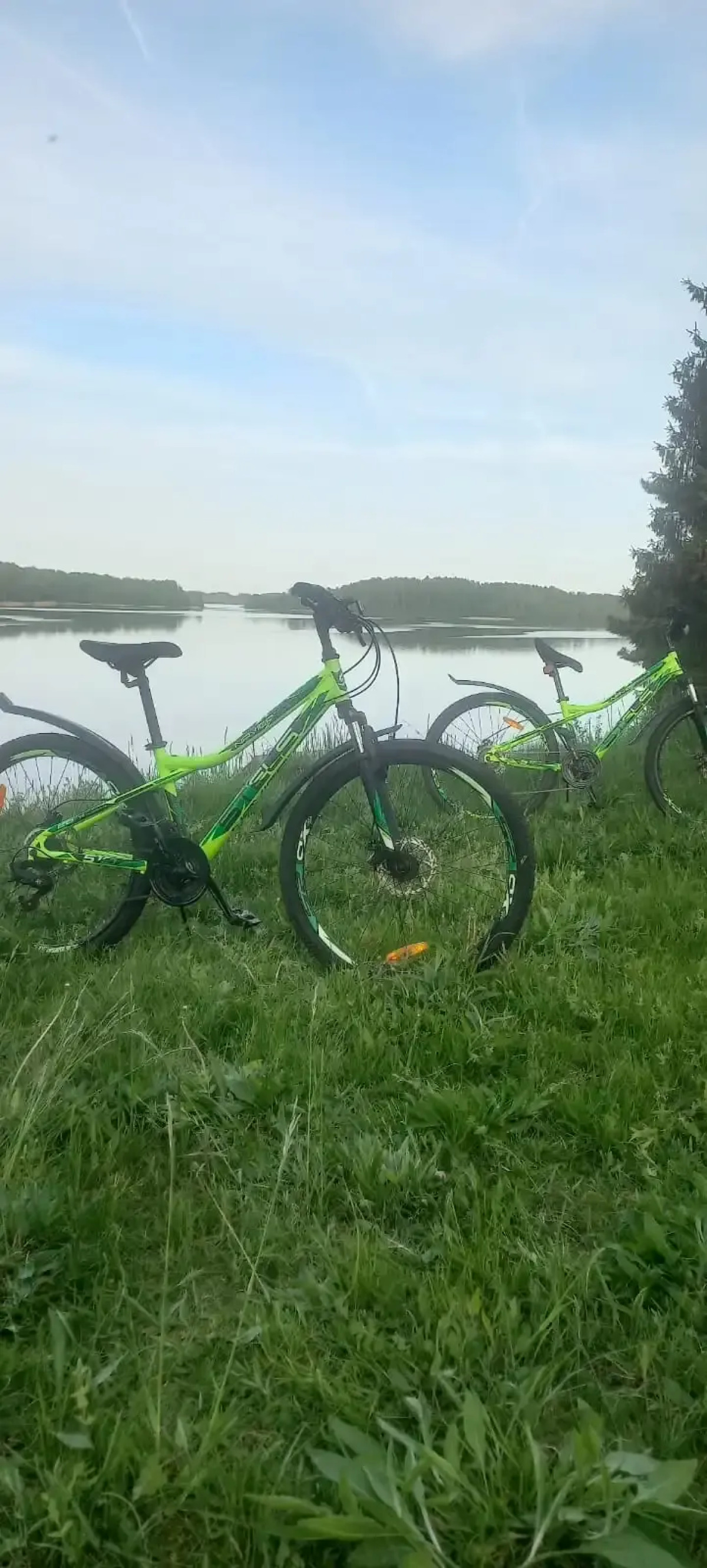 Гостевой дом на опушке леса