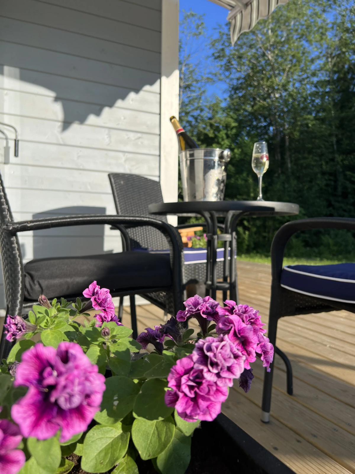 Частный дом SkandyVillage