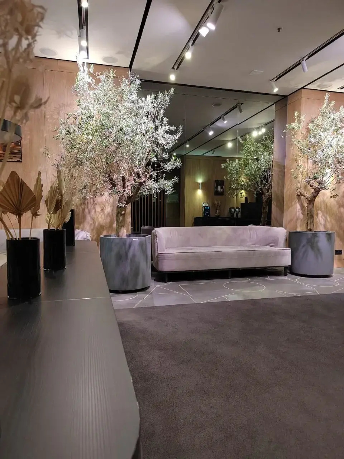 Апартаменты EUPHORIA