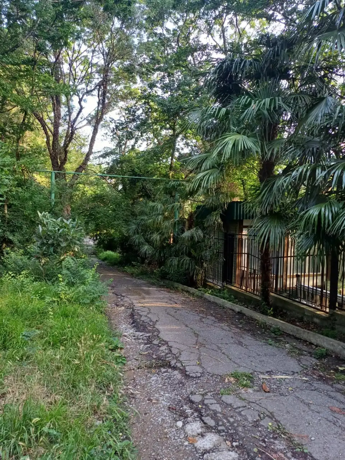 Бунгало Лесная тишина