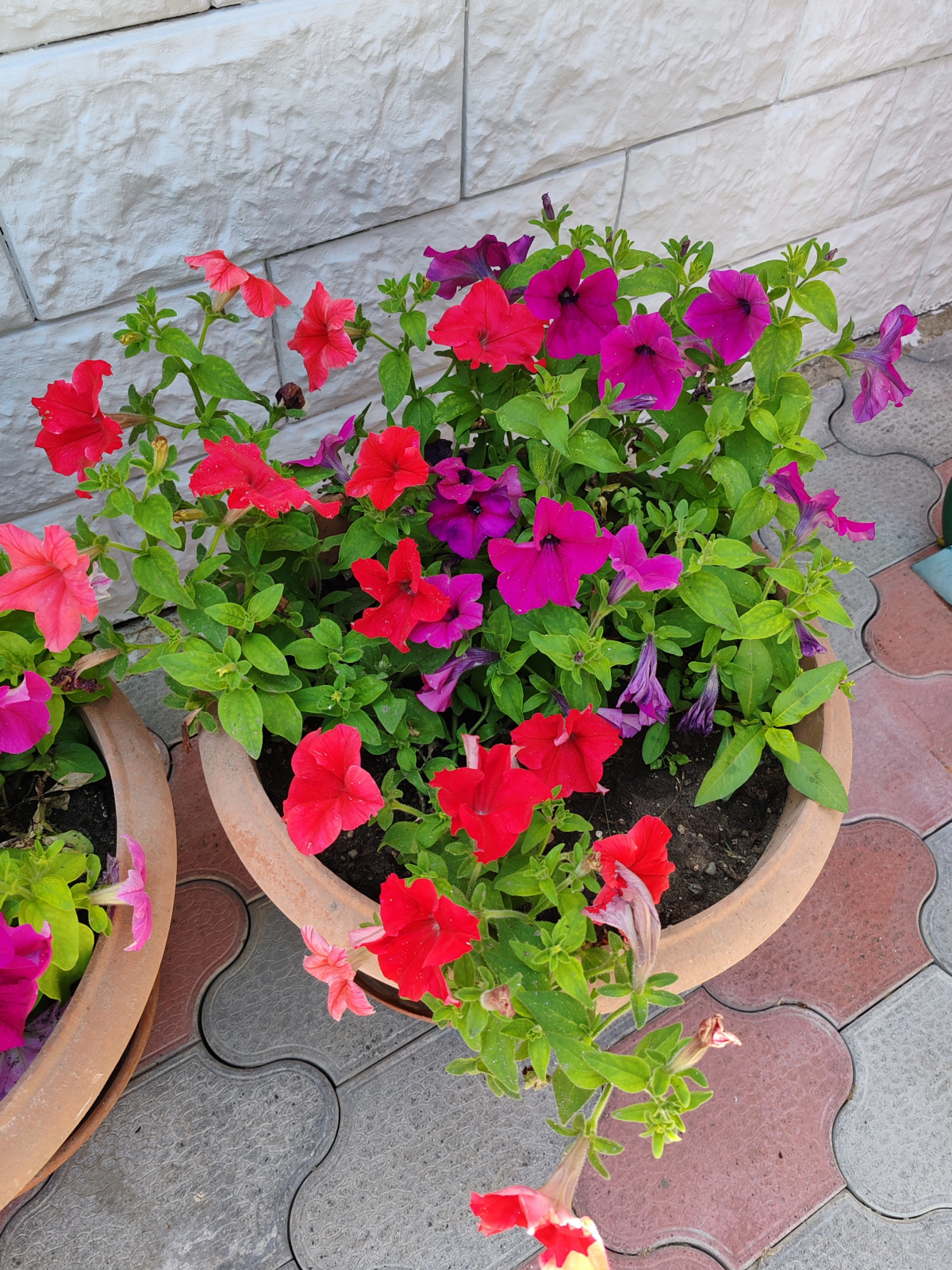 Гостевой дом на Цитрусовой