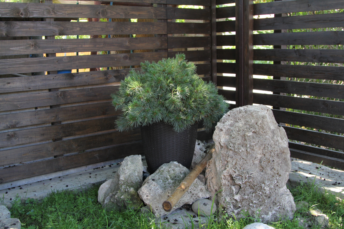 Гостевой Дом Aksis House