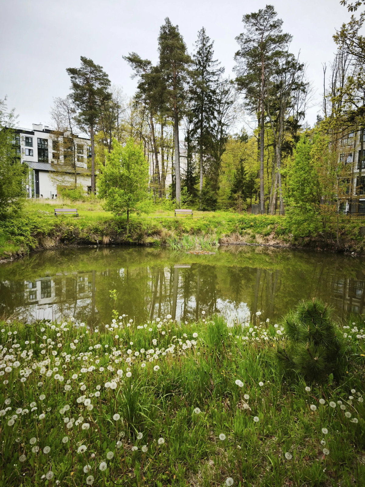 Апартаменты Serenity в окружении Реликтового Леса