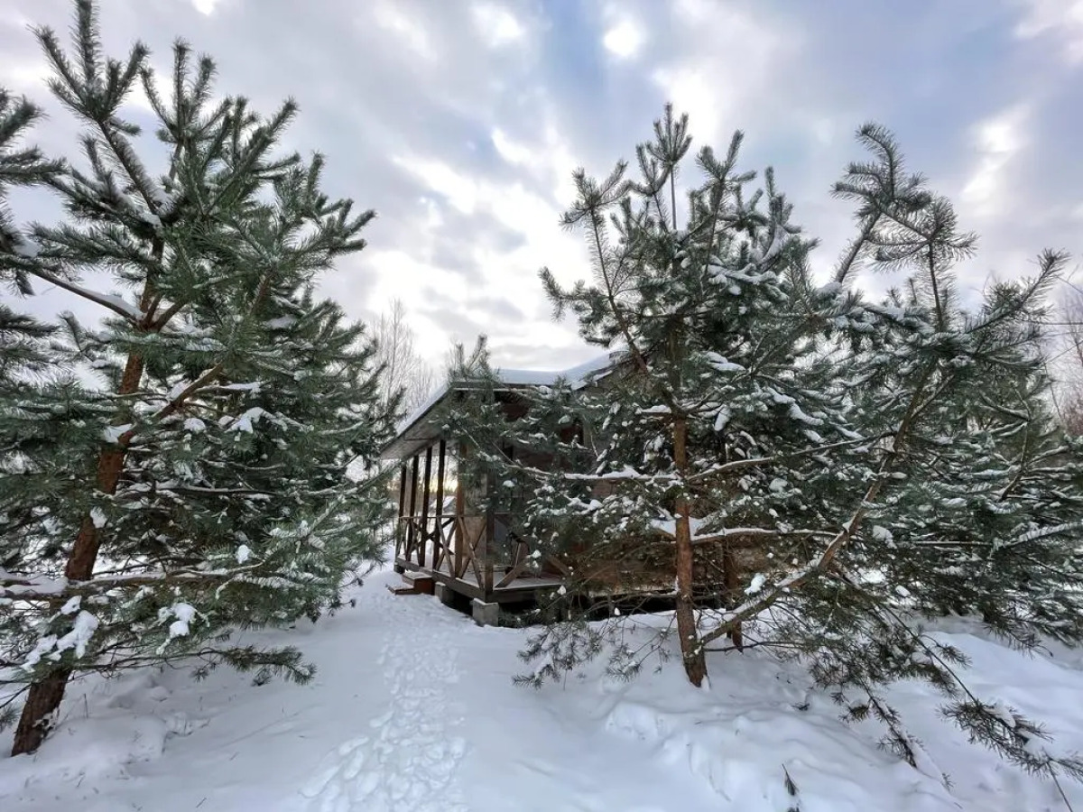 Дом наедине с природой