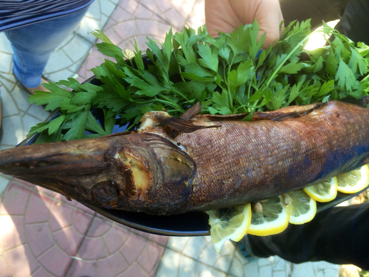 База отдыха Замок