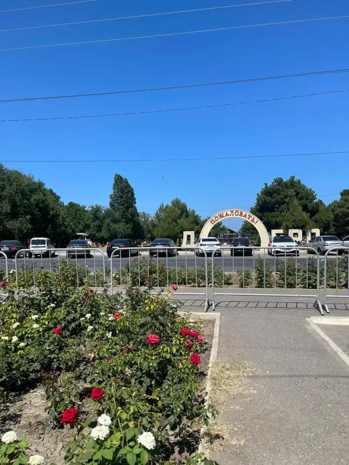 Квартира Уютная квартира у моря в центре