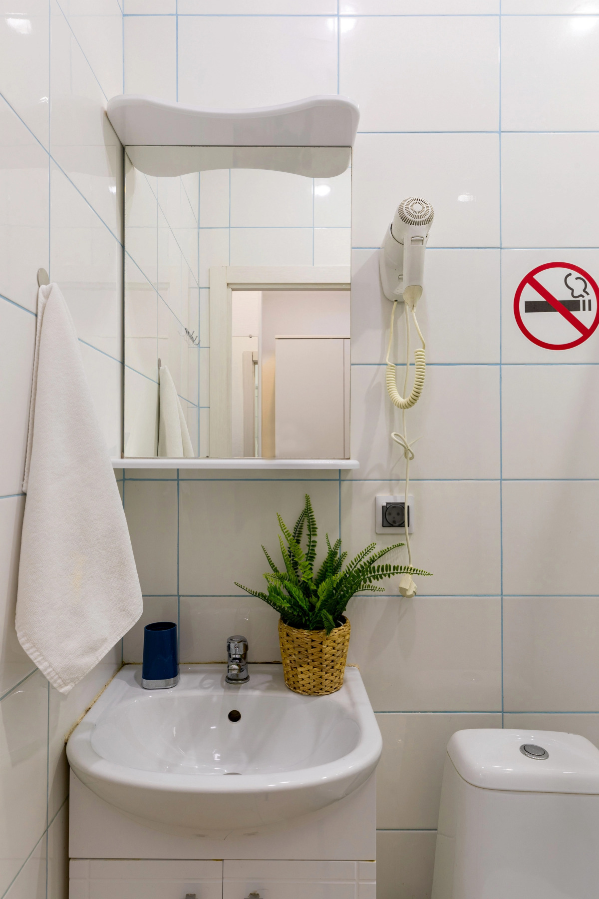 Апартаменты Гости Любят на Владимирской