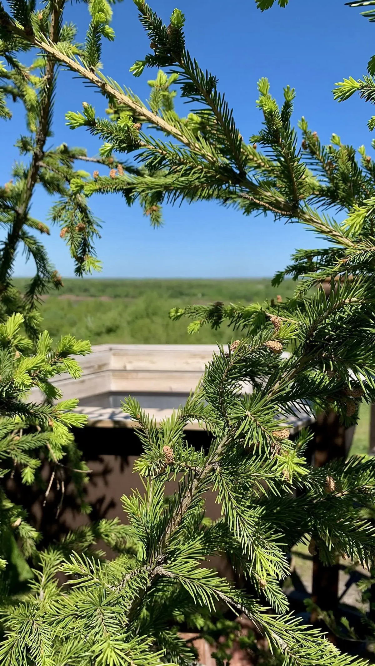 Гостевой Дом Ель