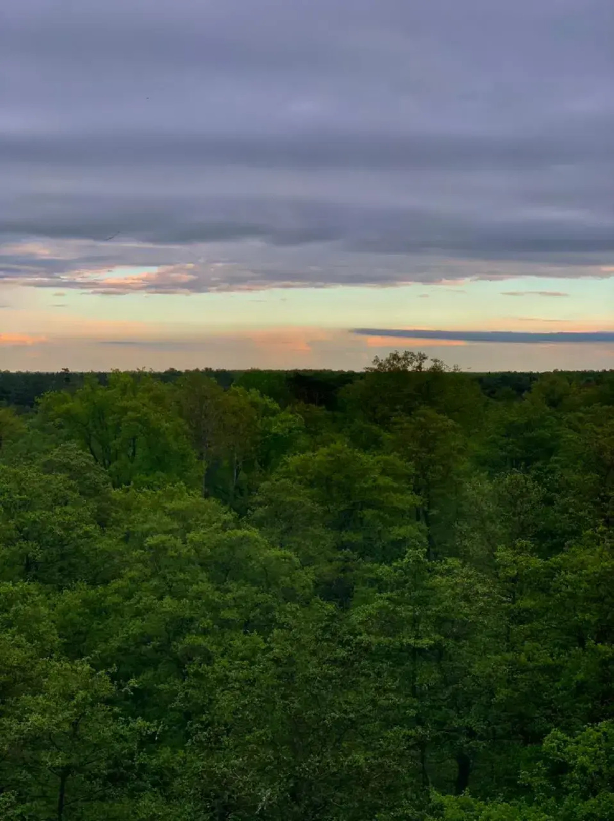 Квартира Кранц Апарт