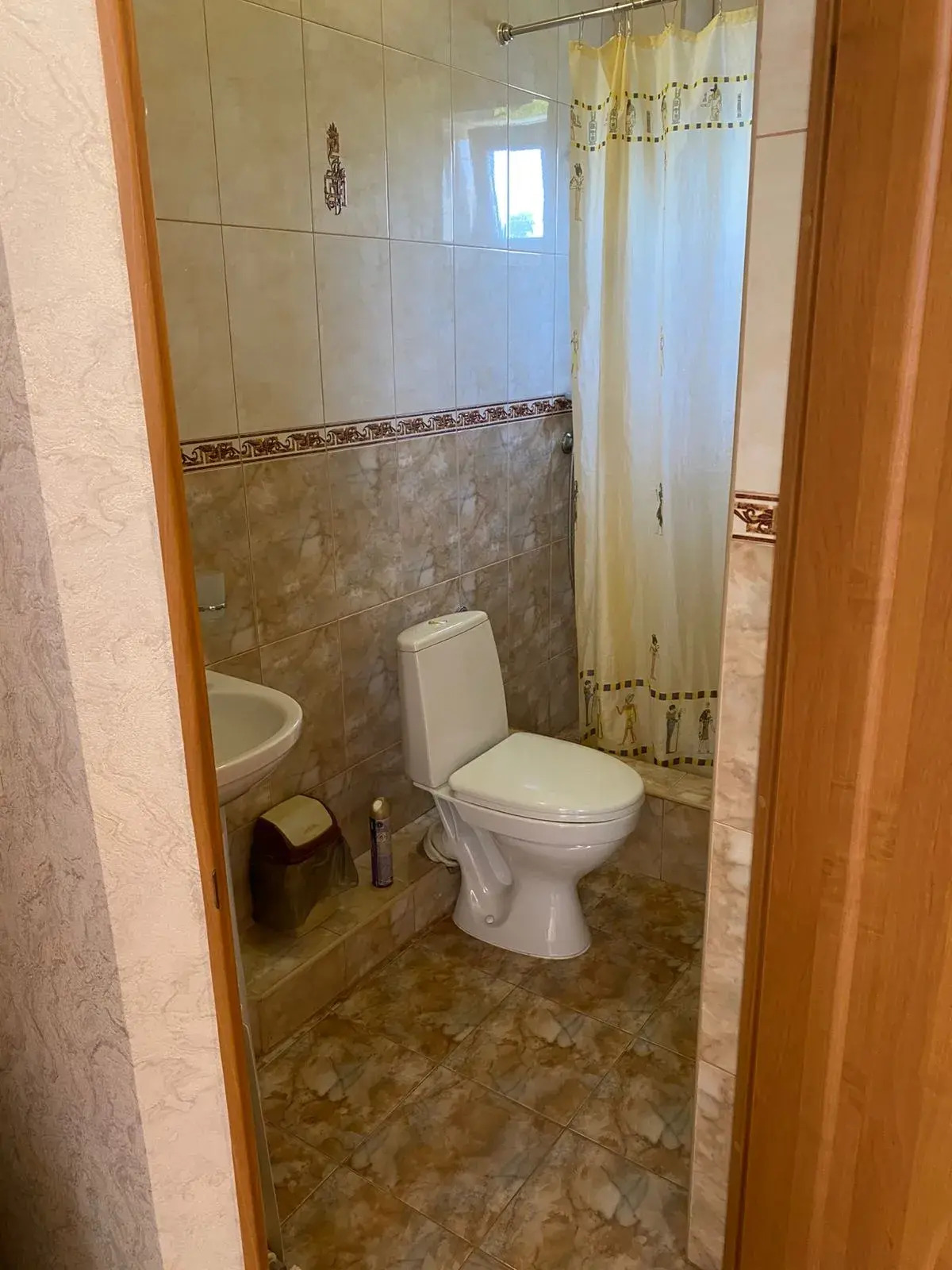 Частный дом на Шевченко 167