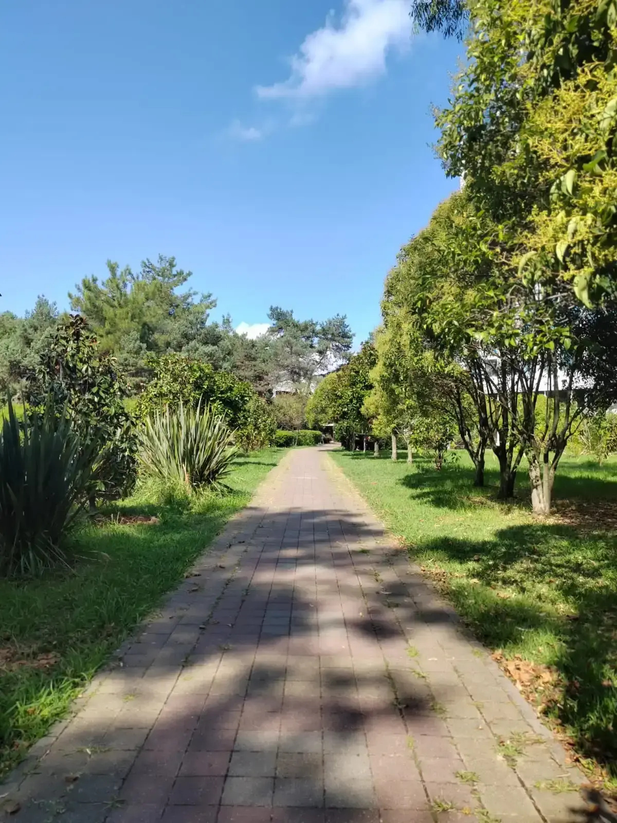 Апартаменты Семейные апартаменты Адлер