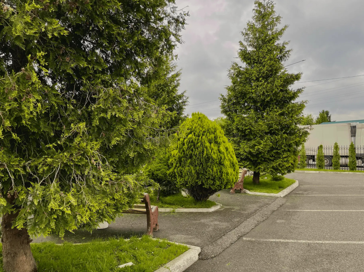 Отель Провинция