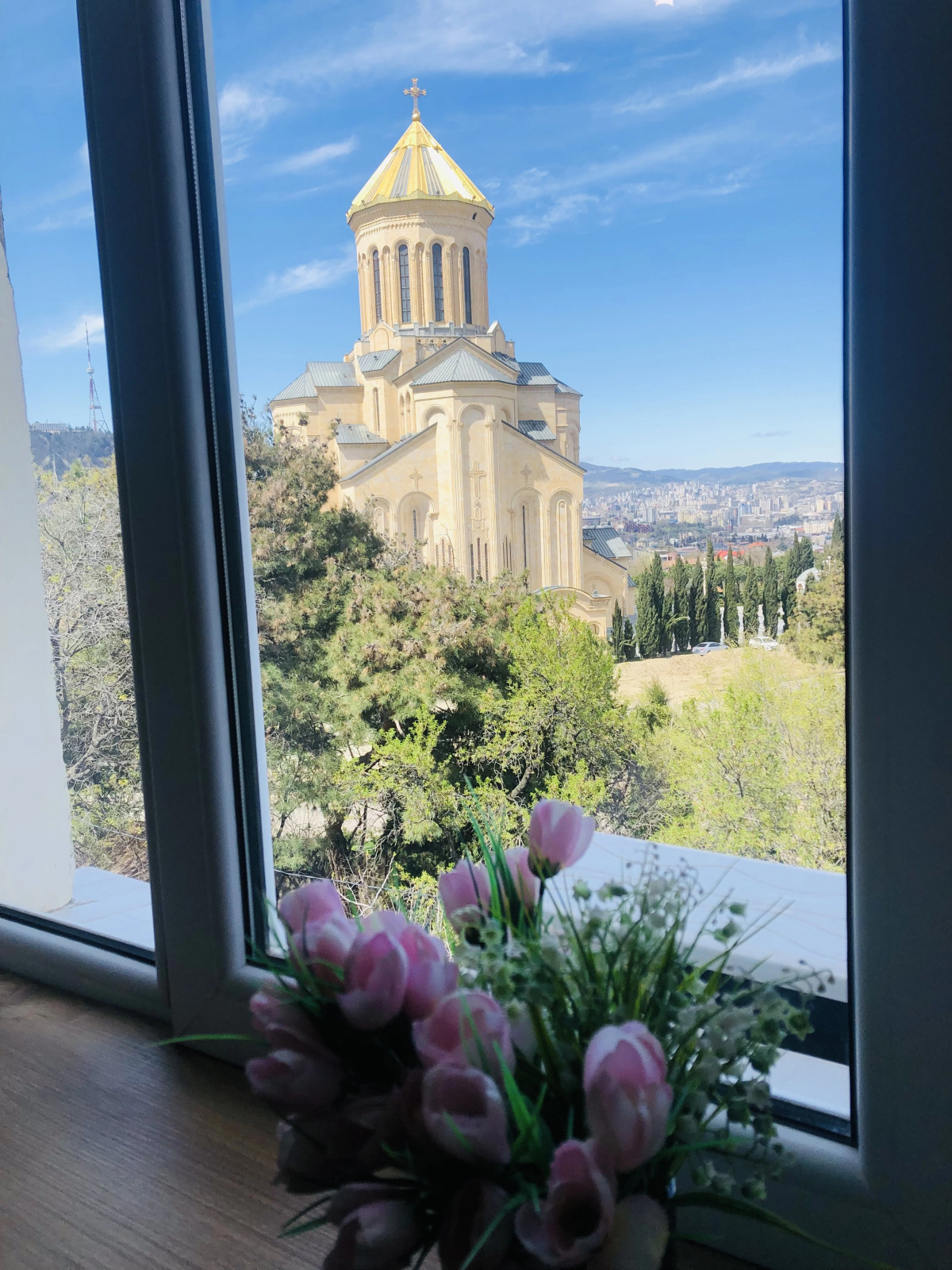 Апартаменты Sameba Top View