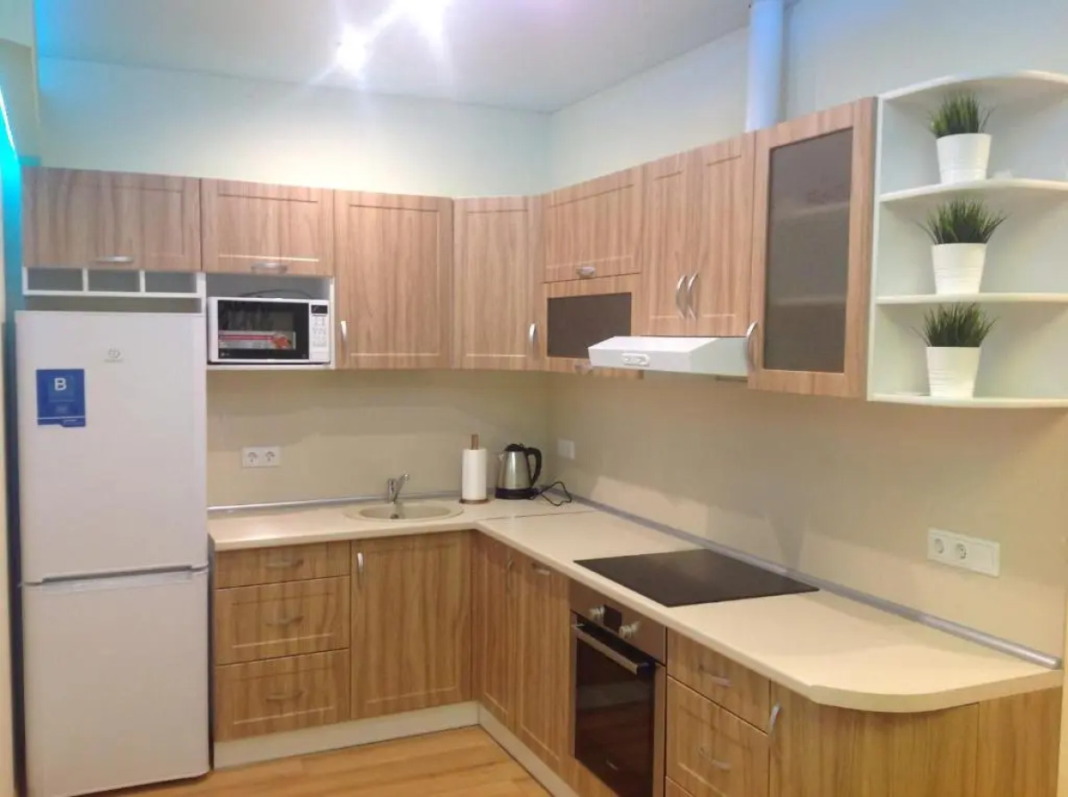 Апартаменты Apartmet on Chapaeva Ecostyle