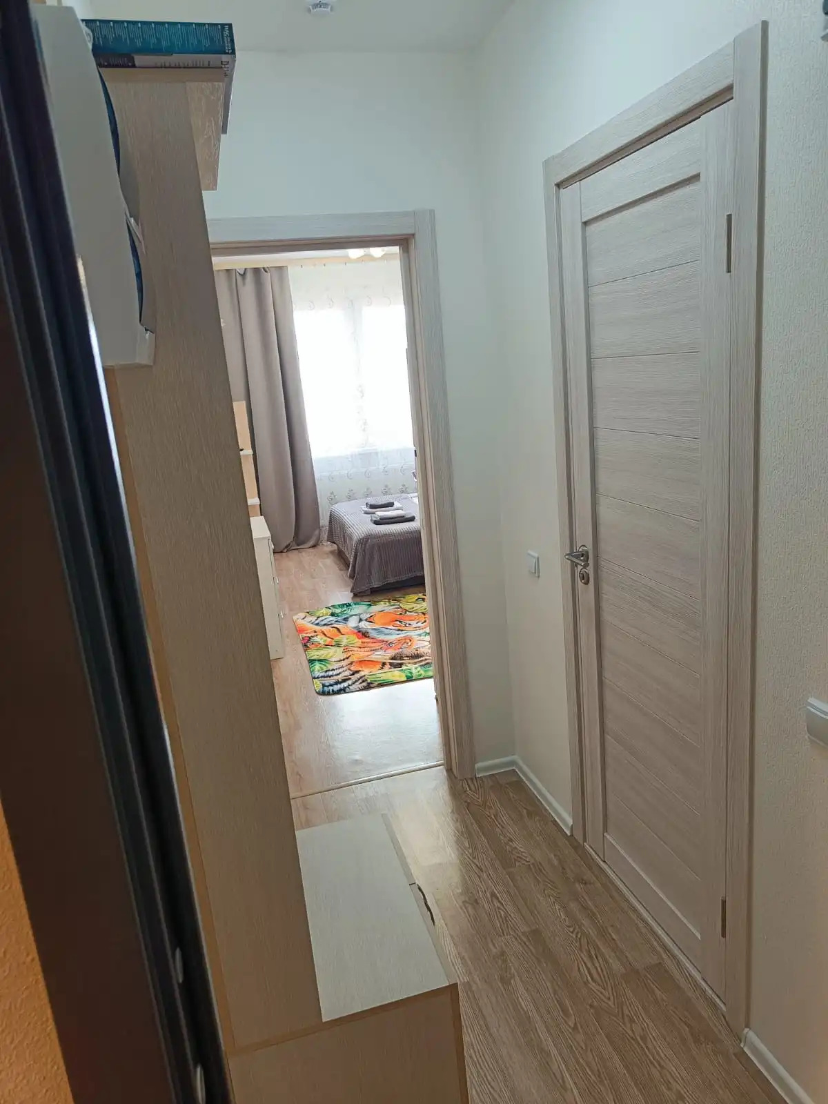 Квартира на улице Муринская дорога 27/2