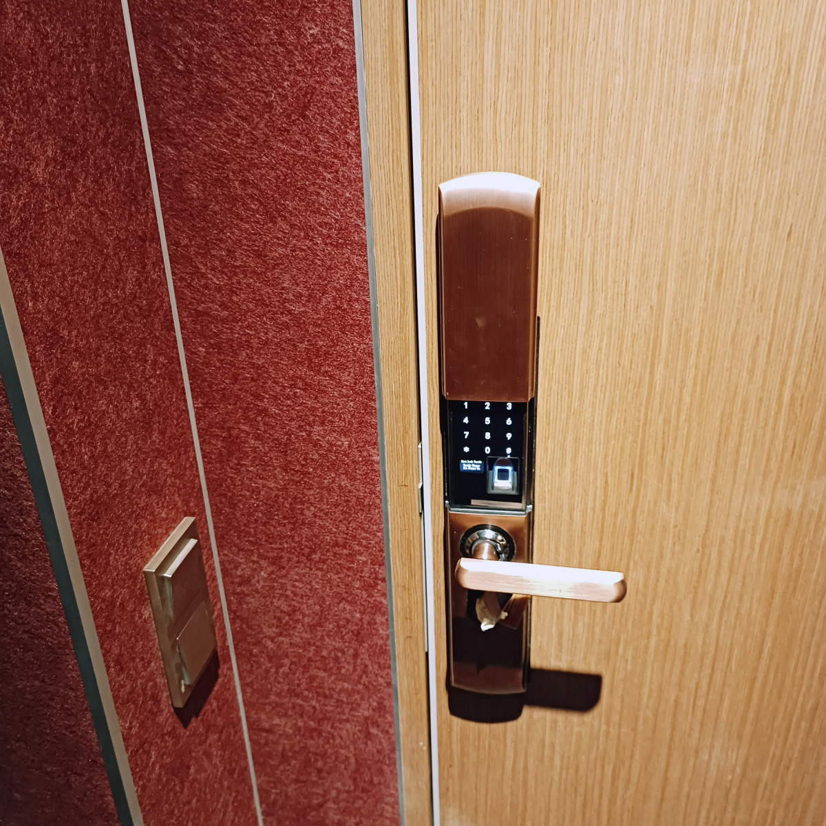 Апартаменты Osobnuak VL