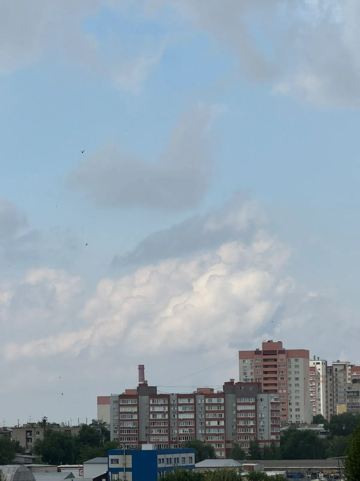 Апартаменты Мориса Тореза 79-38