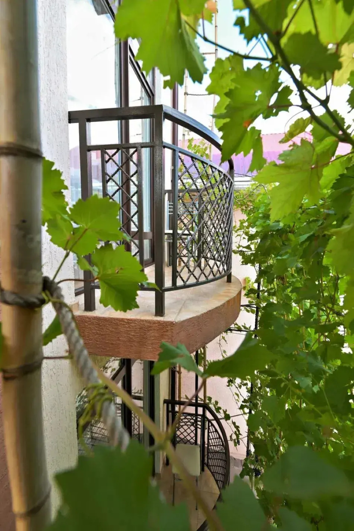 Гостевой дом Моне