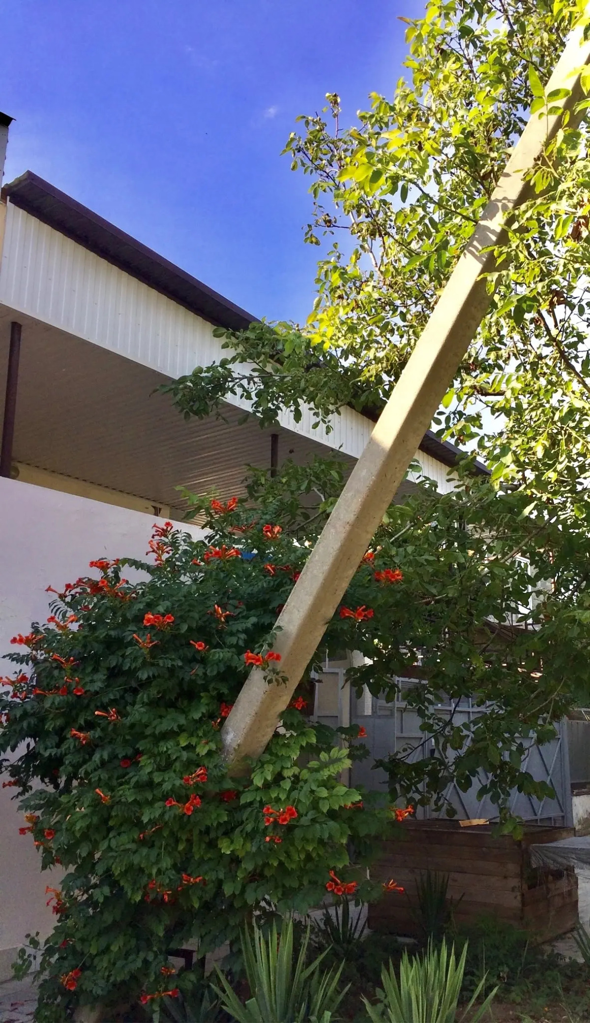 Гостевой Дом Татьяна