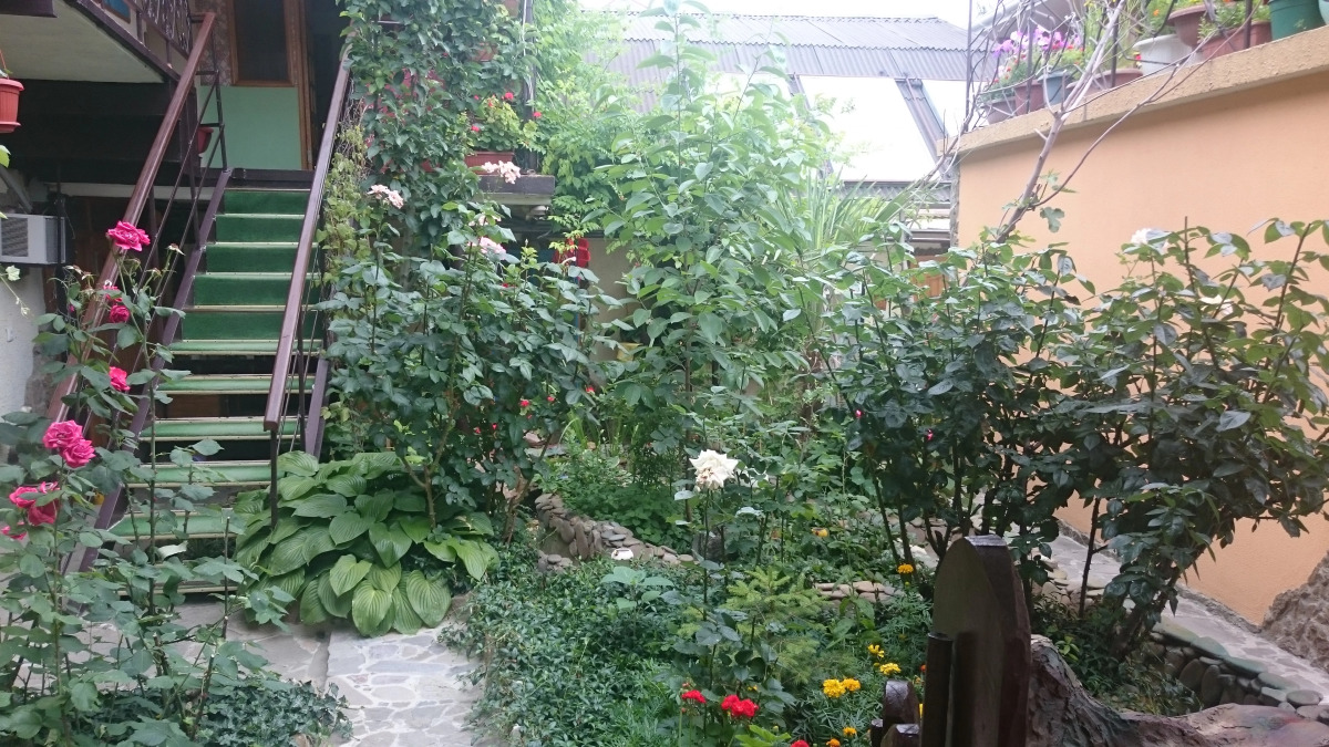 Гостевой Дом Вишневских