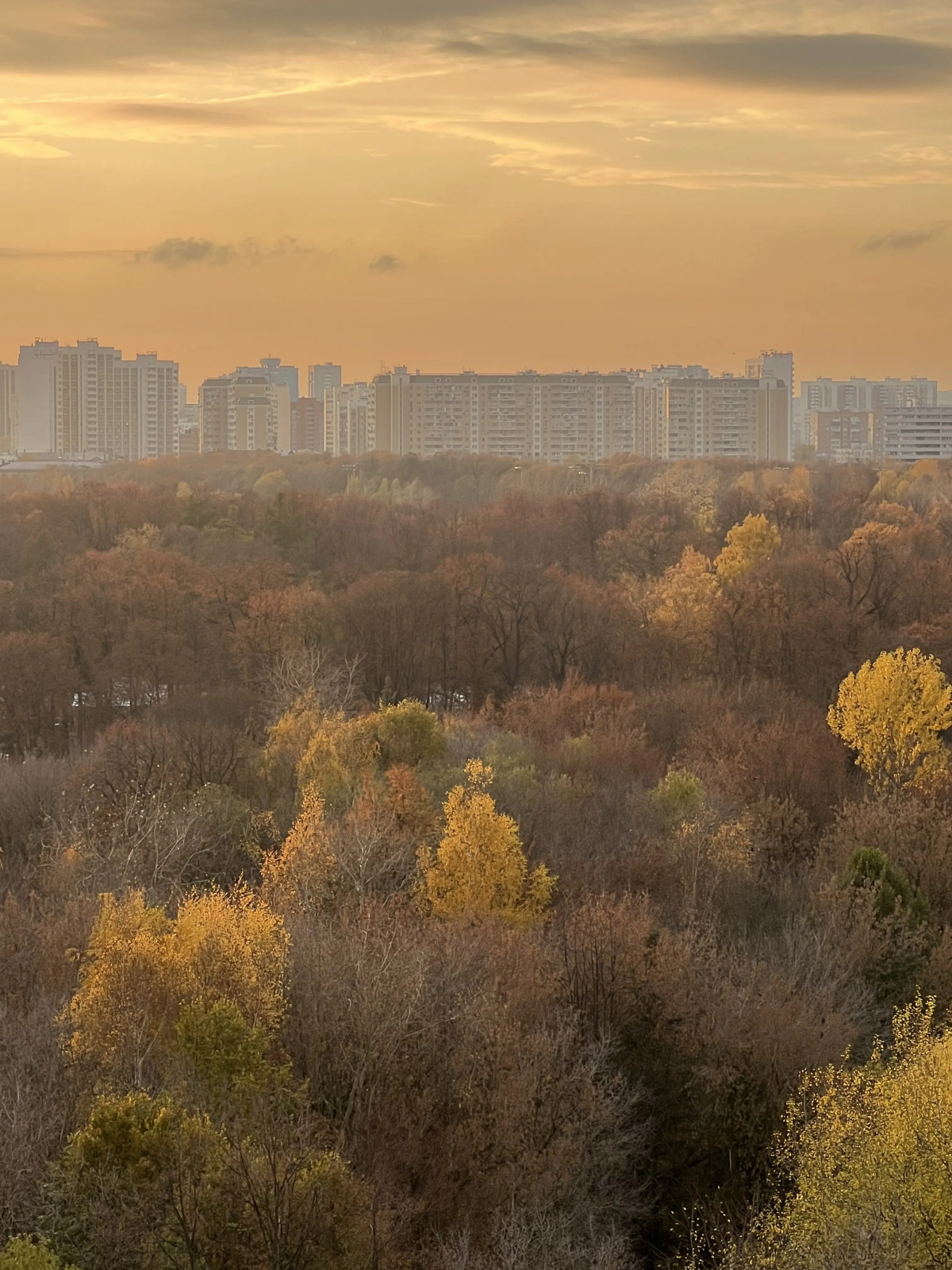Квартира Видовая Дизайнерская на ВДНХ