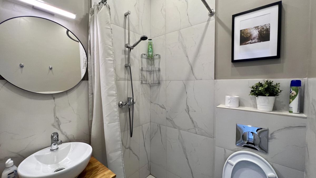 Апартаменты Серебрянический (7)