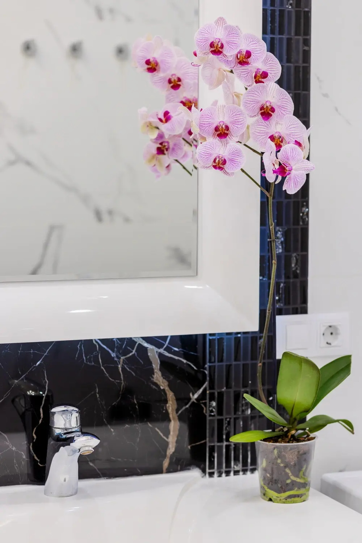 Апартаменты по Царски в Самом Центре