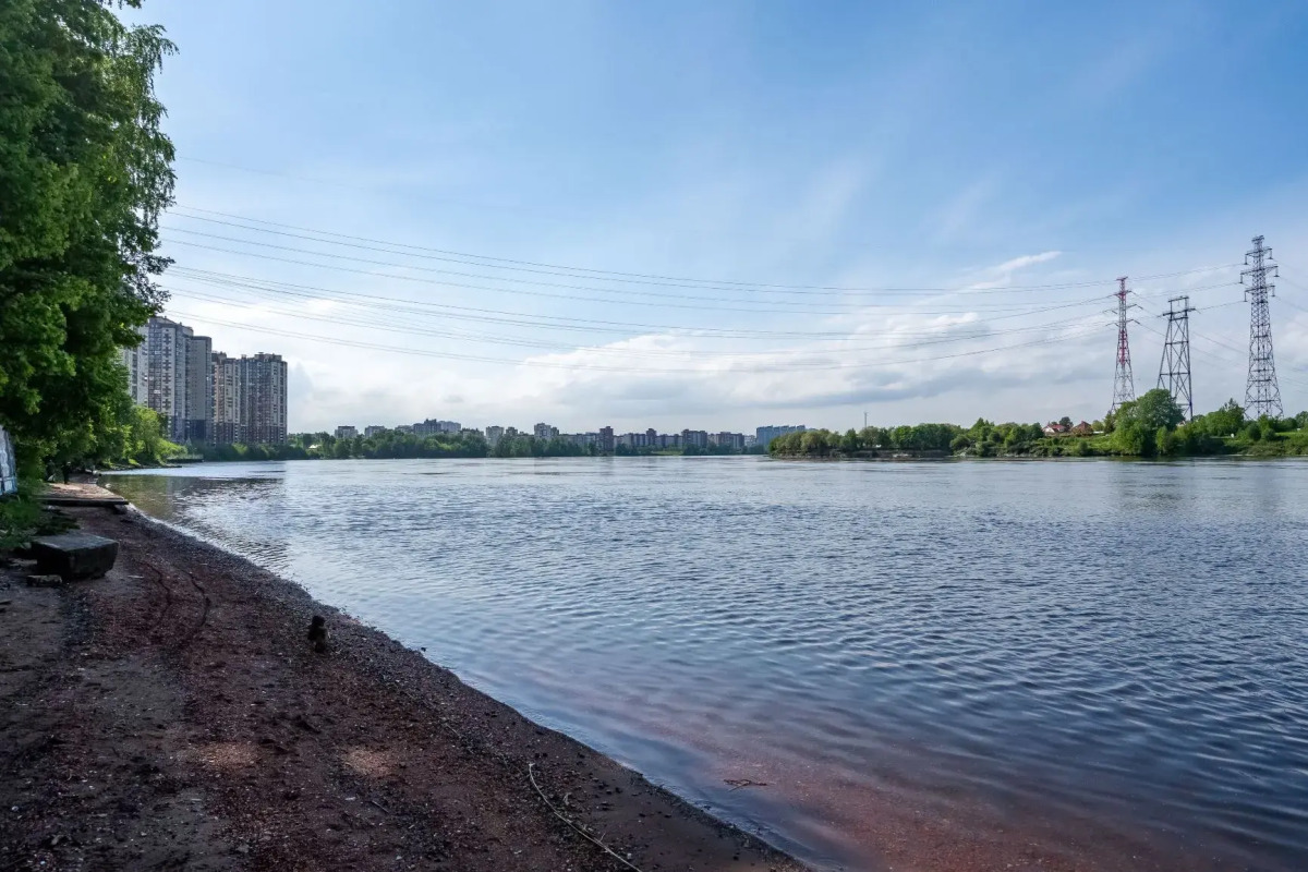 Квартира 31 этаж с видом на Неву