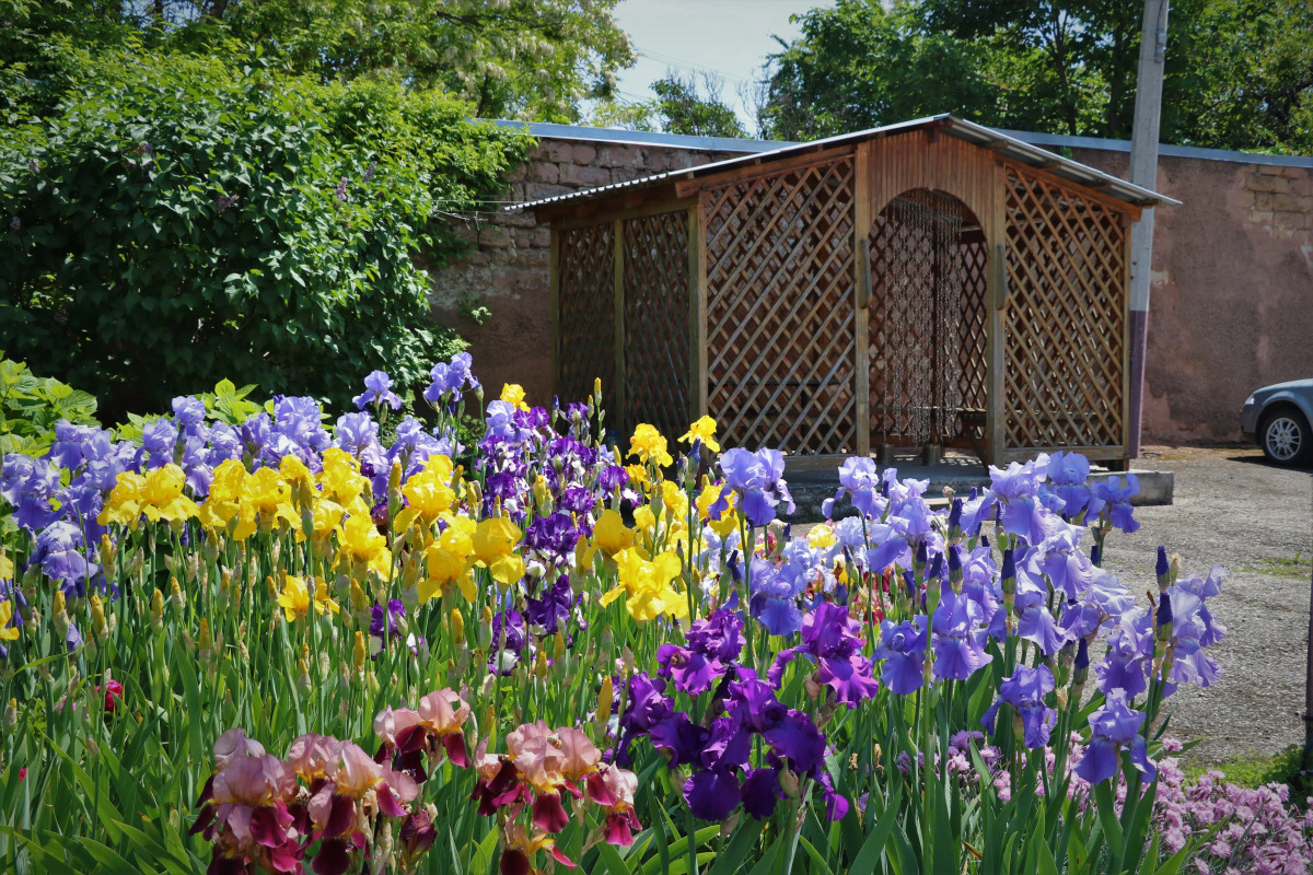 Мини-Отель Детская Туристская База