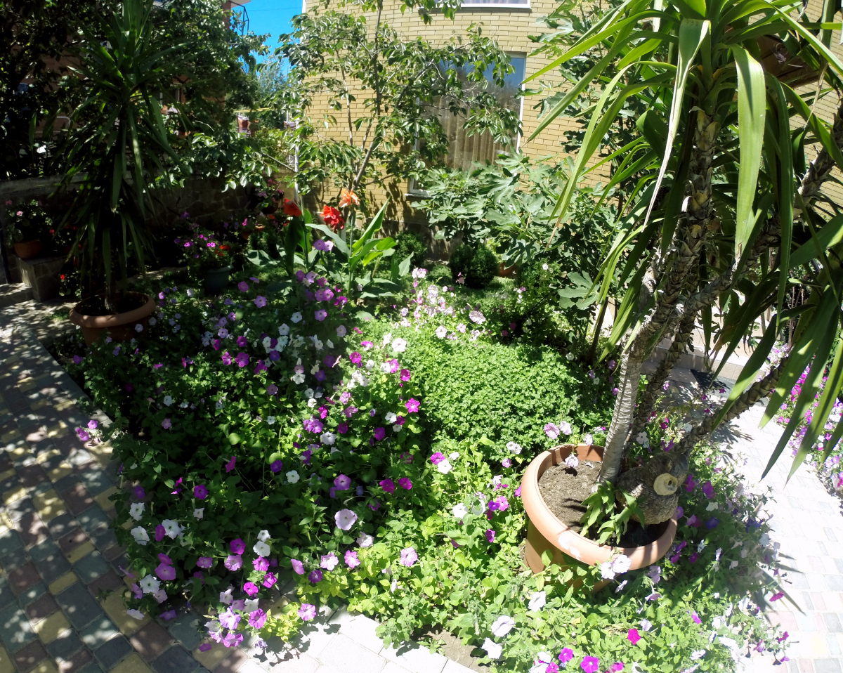 Гостевой дом Горлица