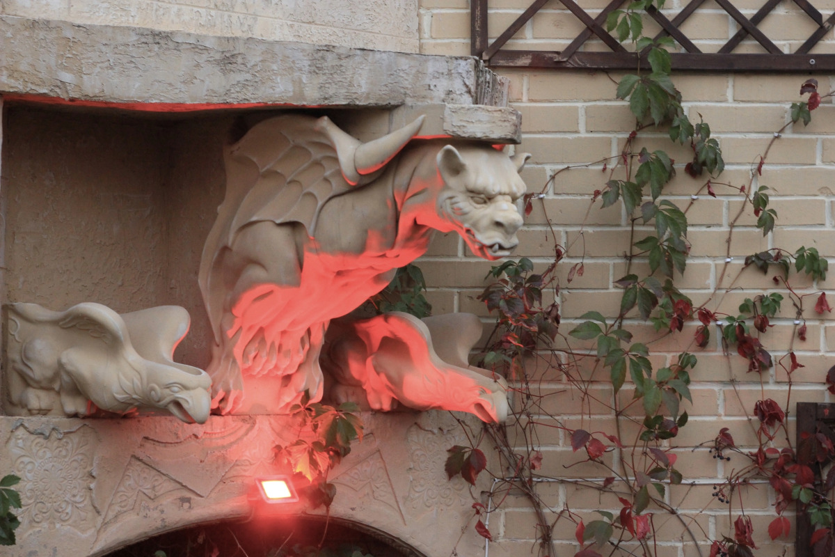 Отель Крылья