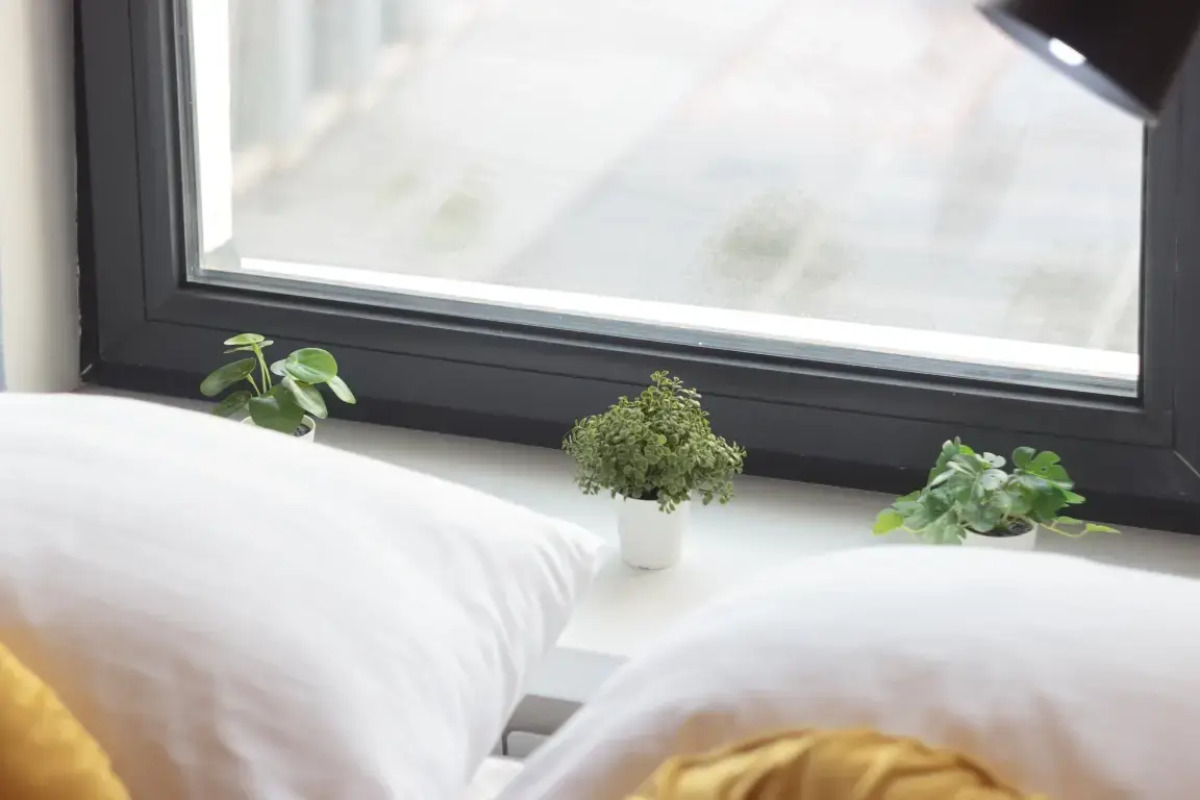 Апартаменты 6 Уютные 1 Комнатные