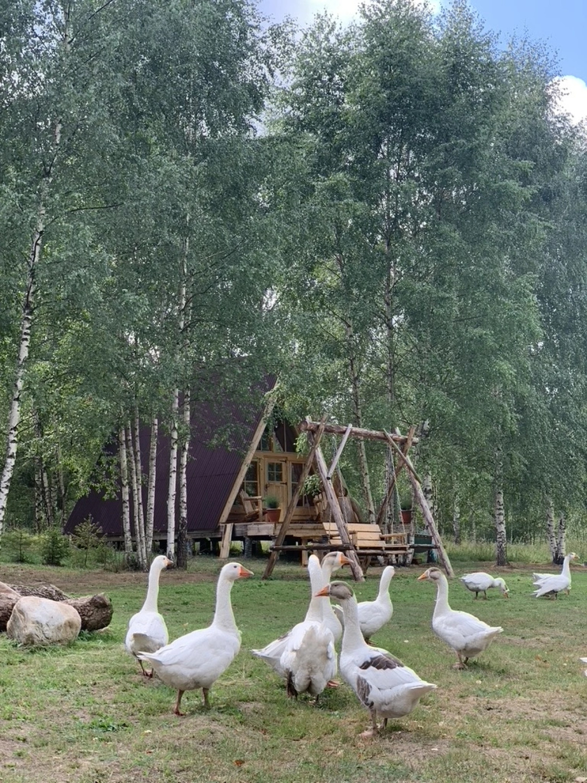 База отдыха ZAгород