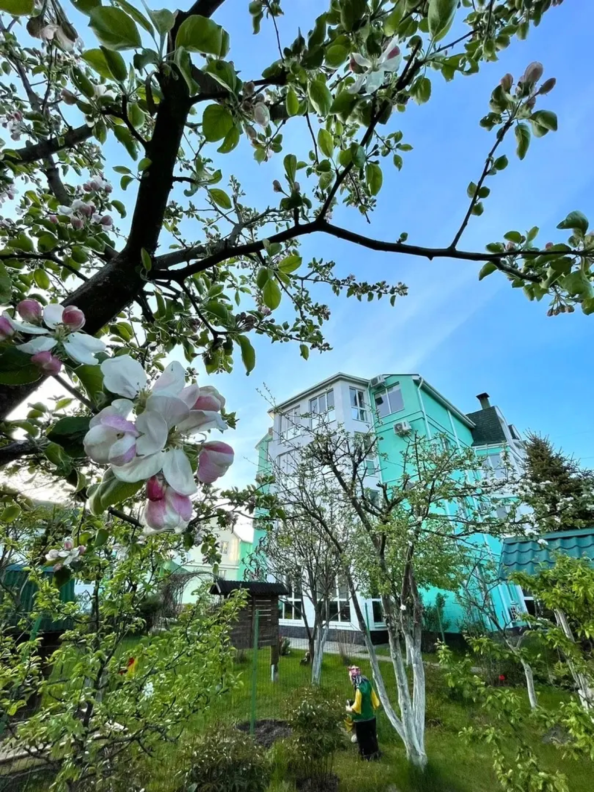 Отель Кентавр