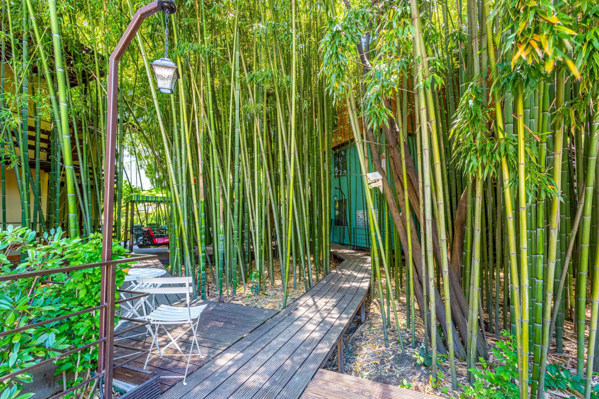 Гостевой Дом Бамбук-Хутор