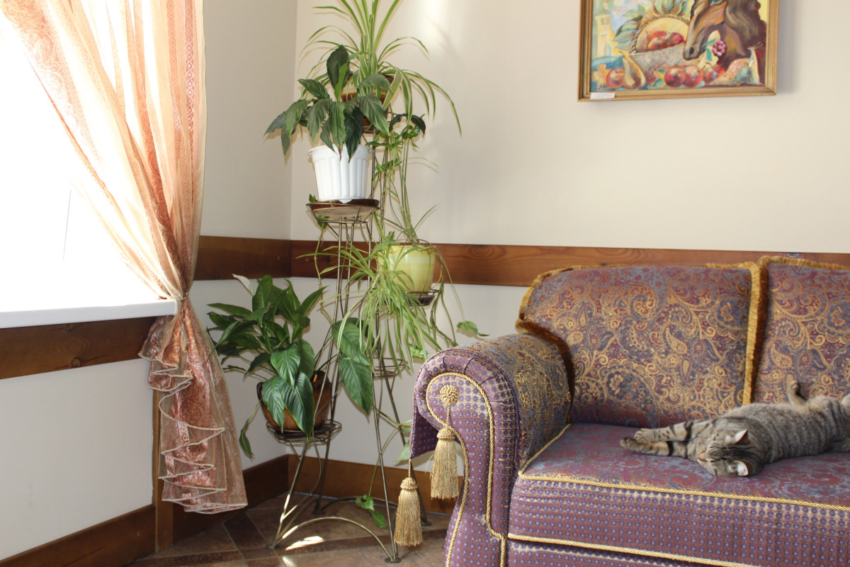 Гостиница Печоры-Парк