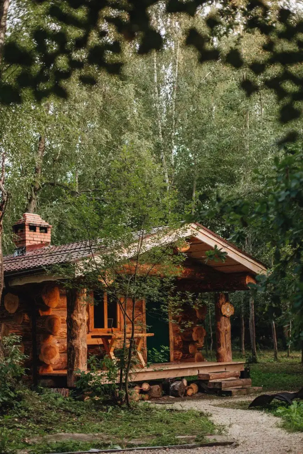 База отдыха Дубки