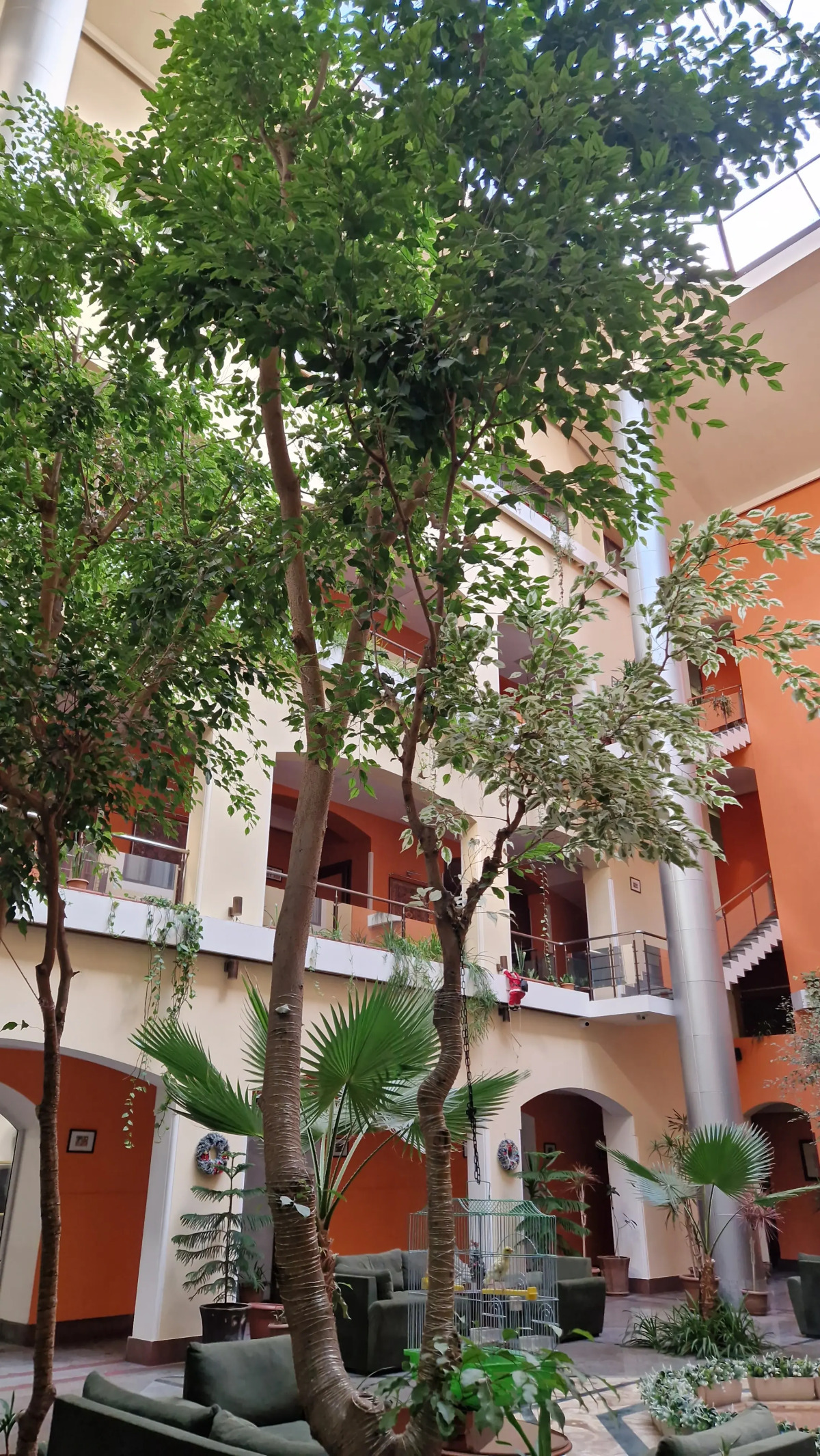 Отель Арарат