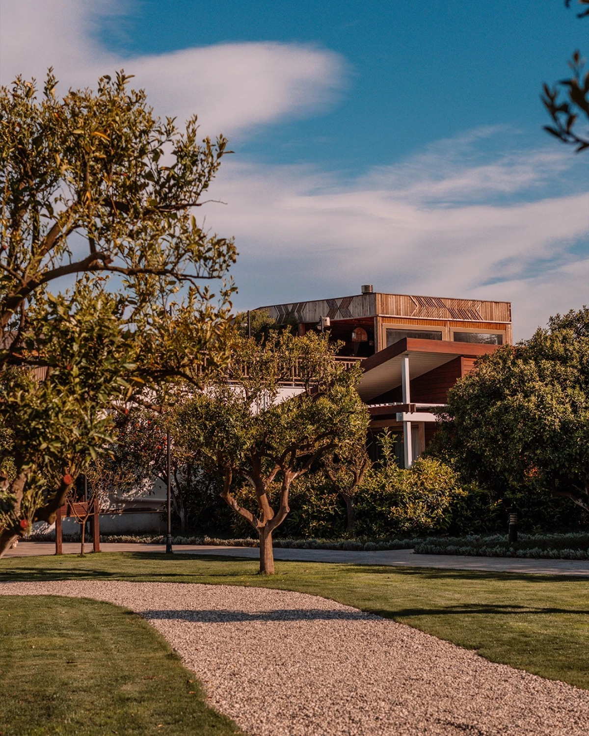 Отель Kimera Lounge