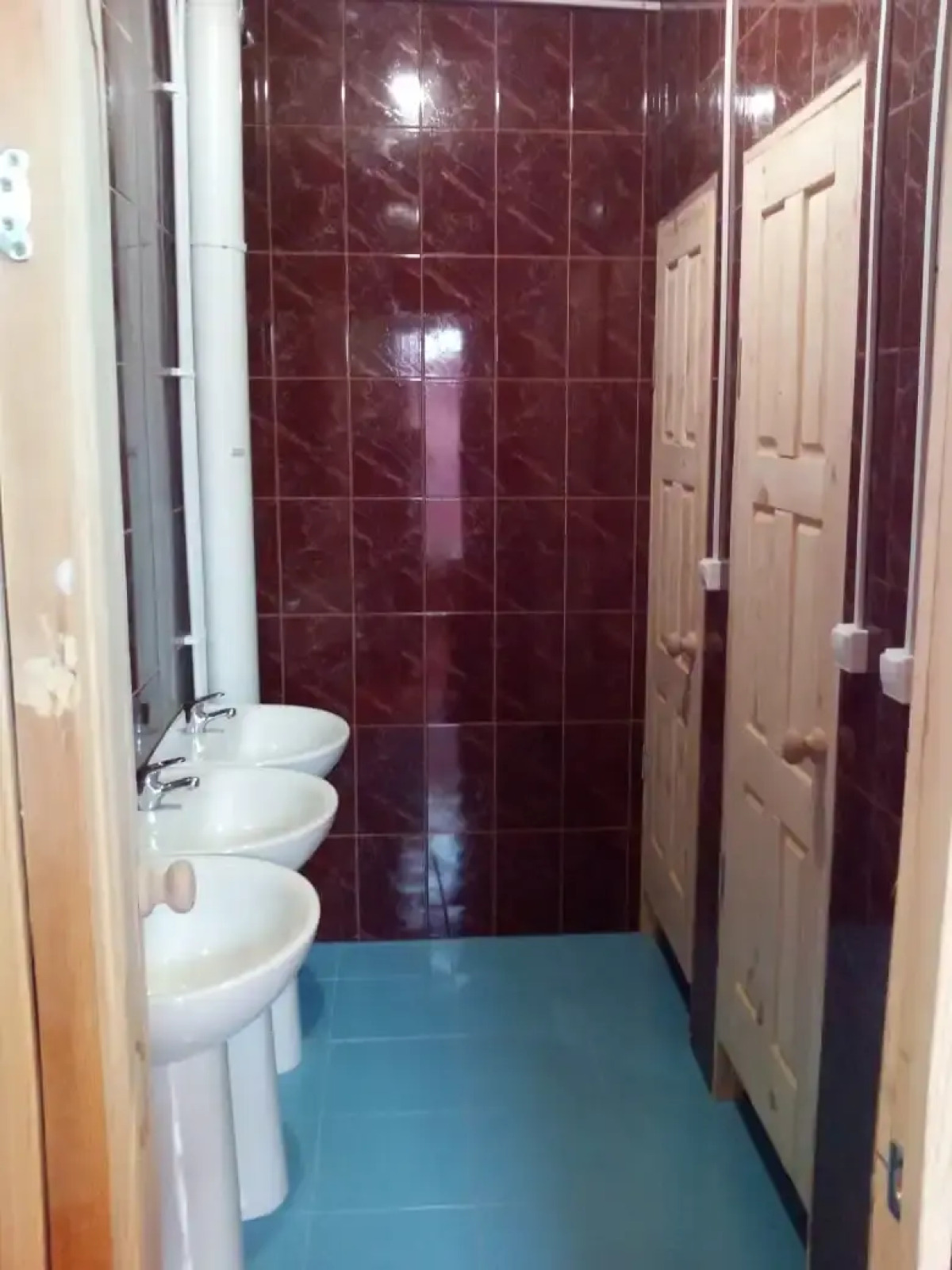 Хостел Вежливый Лось на Ботаническом Саду