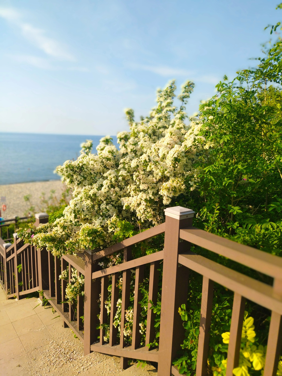 Апартаменты в Резиденции у Моря в двух минутах до моря