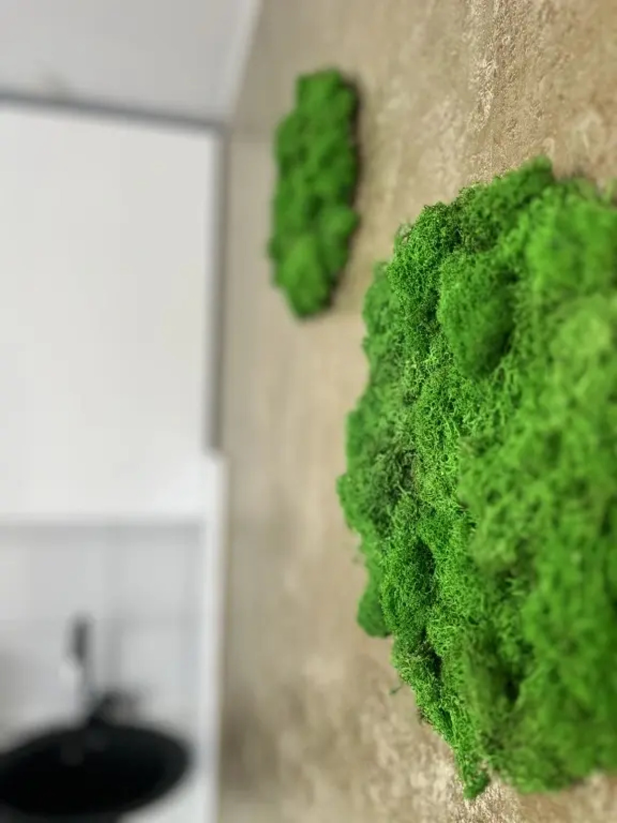 Апартаменты Skazka Green House 1