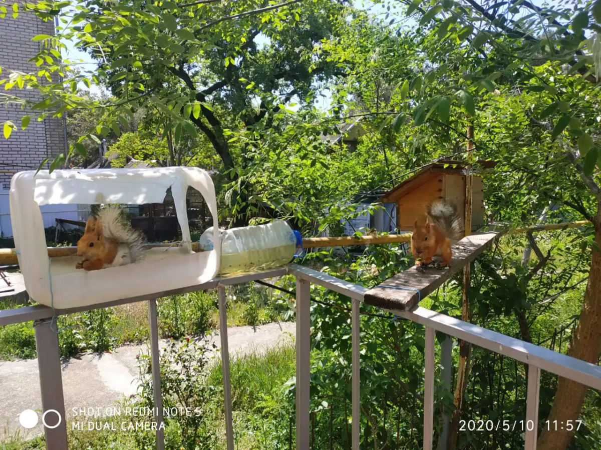 Гостевой дом на Халтурина 4