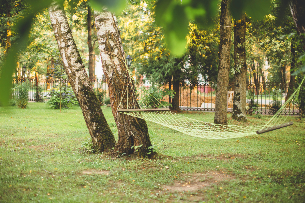 Отель Гринвей