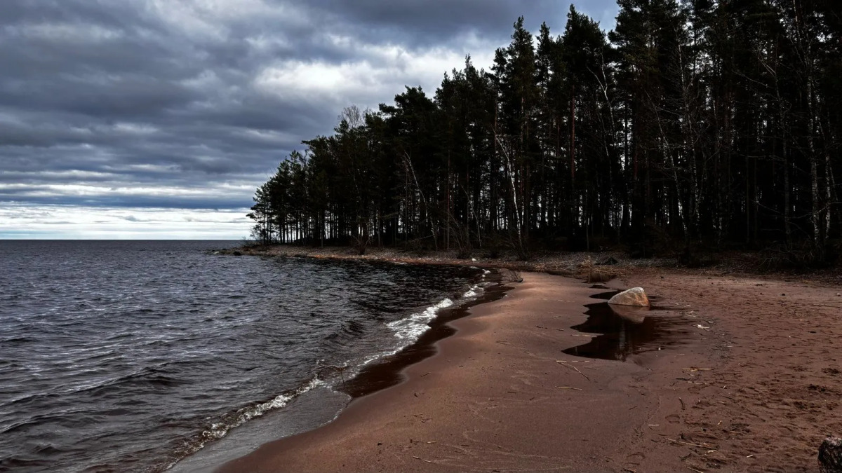 Частный дом Ладожские дюны