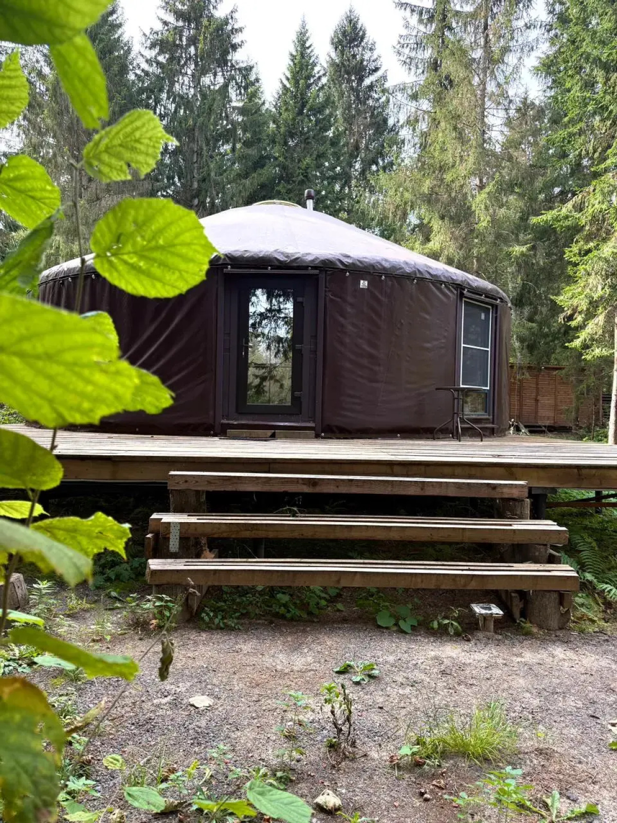 Частный дом Юрта среди сосен