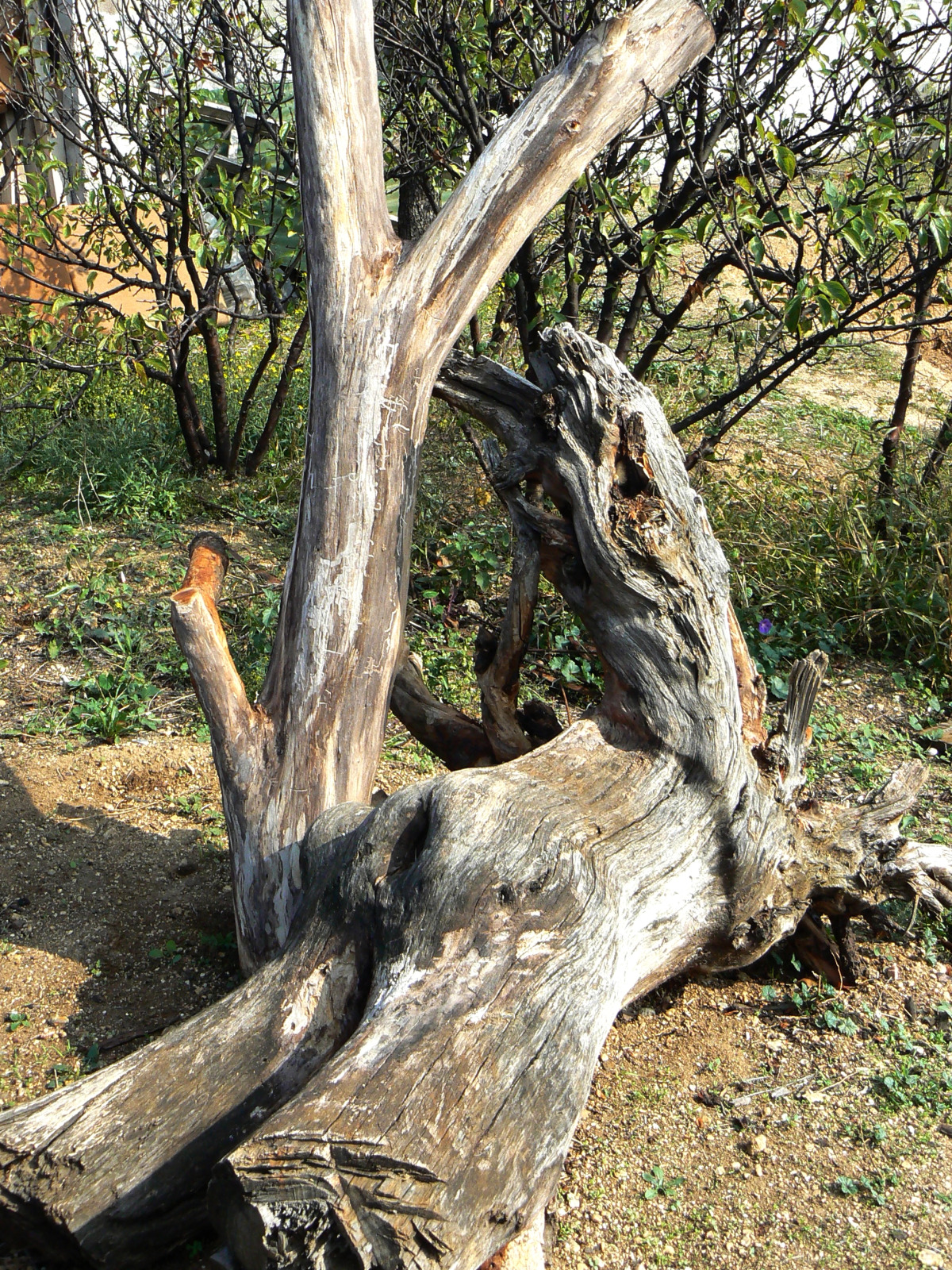 Гостевой Дом Рейд