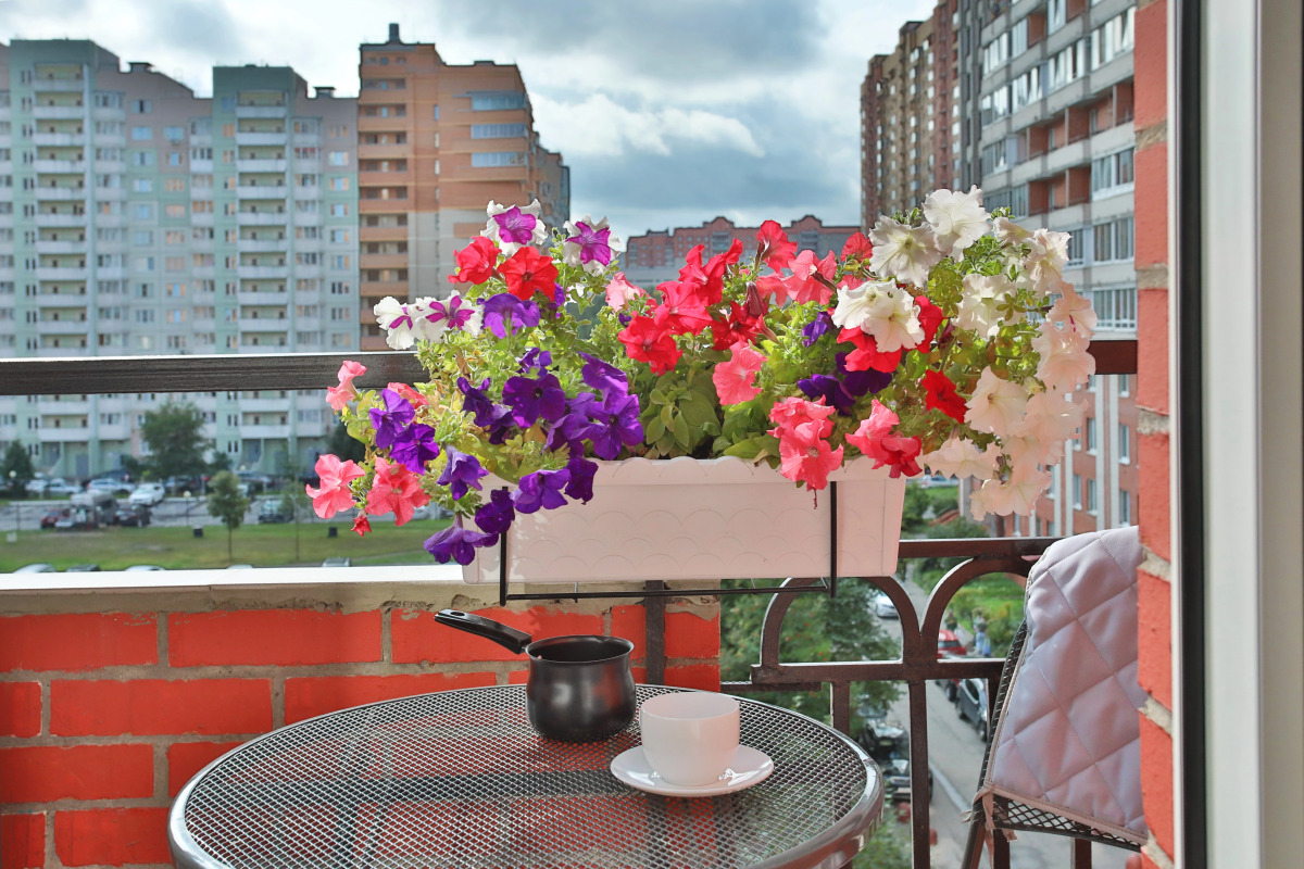 Апартаменты на улице Пулковская 8/3