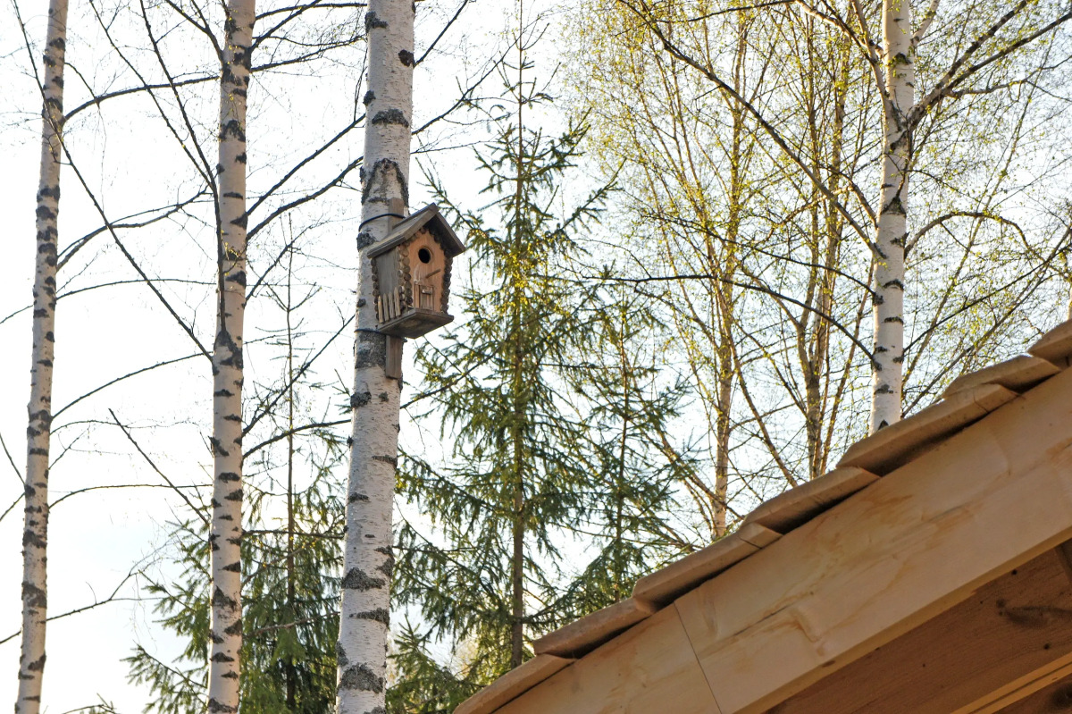 Гостевые дома Усадьба скульптора Эрьзи с фермой