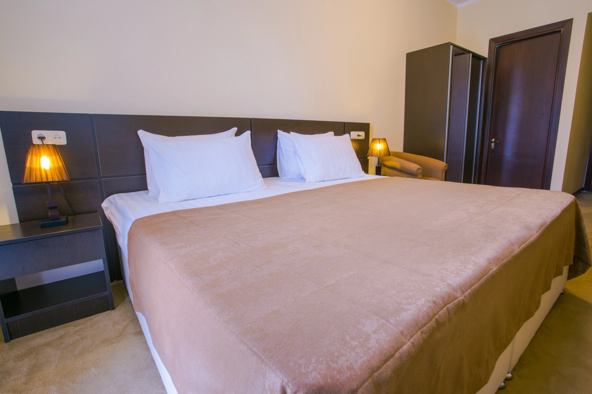 Отель Ani Central Inn